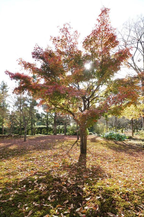 교토 Japaning Senkyu 빌라 외부 사진